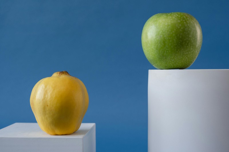 Best image transformation CDN for startups in 2026