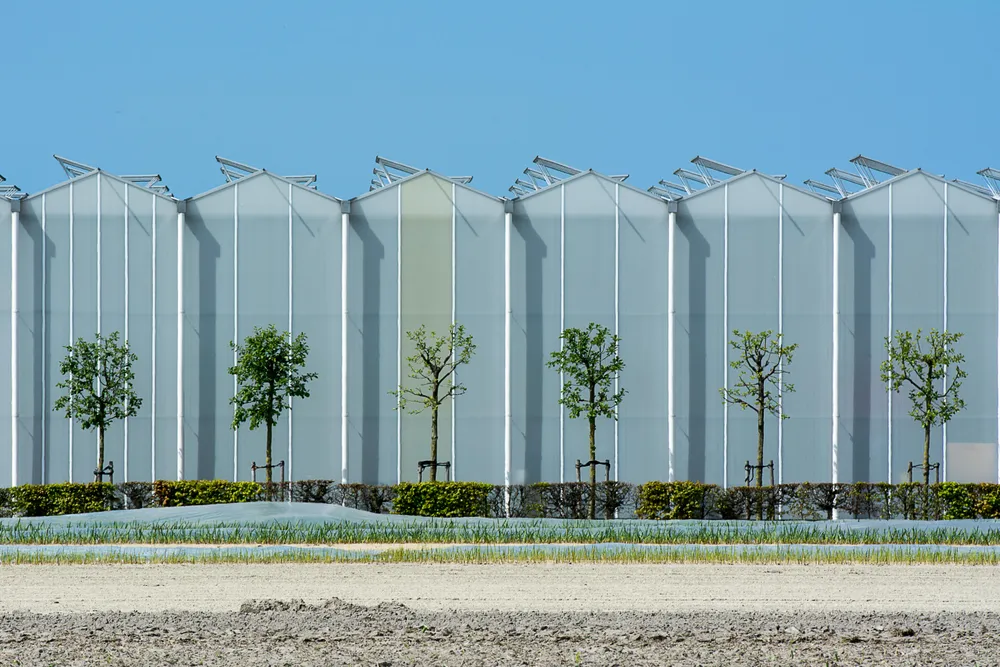 Reduce Page Size by more than 50% with WebP and AVIF