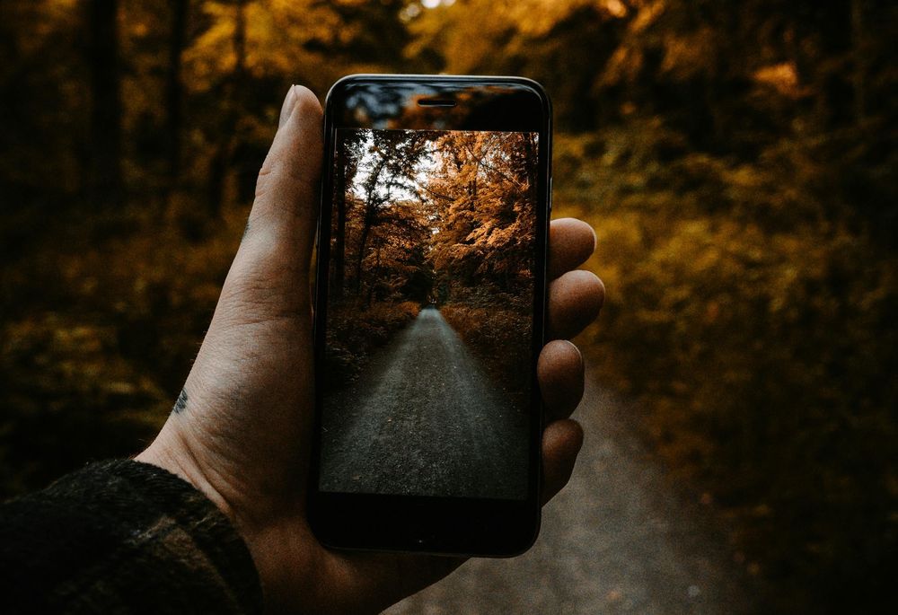 Responsive Images Done Right: srcset, sizes, and Art Direction