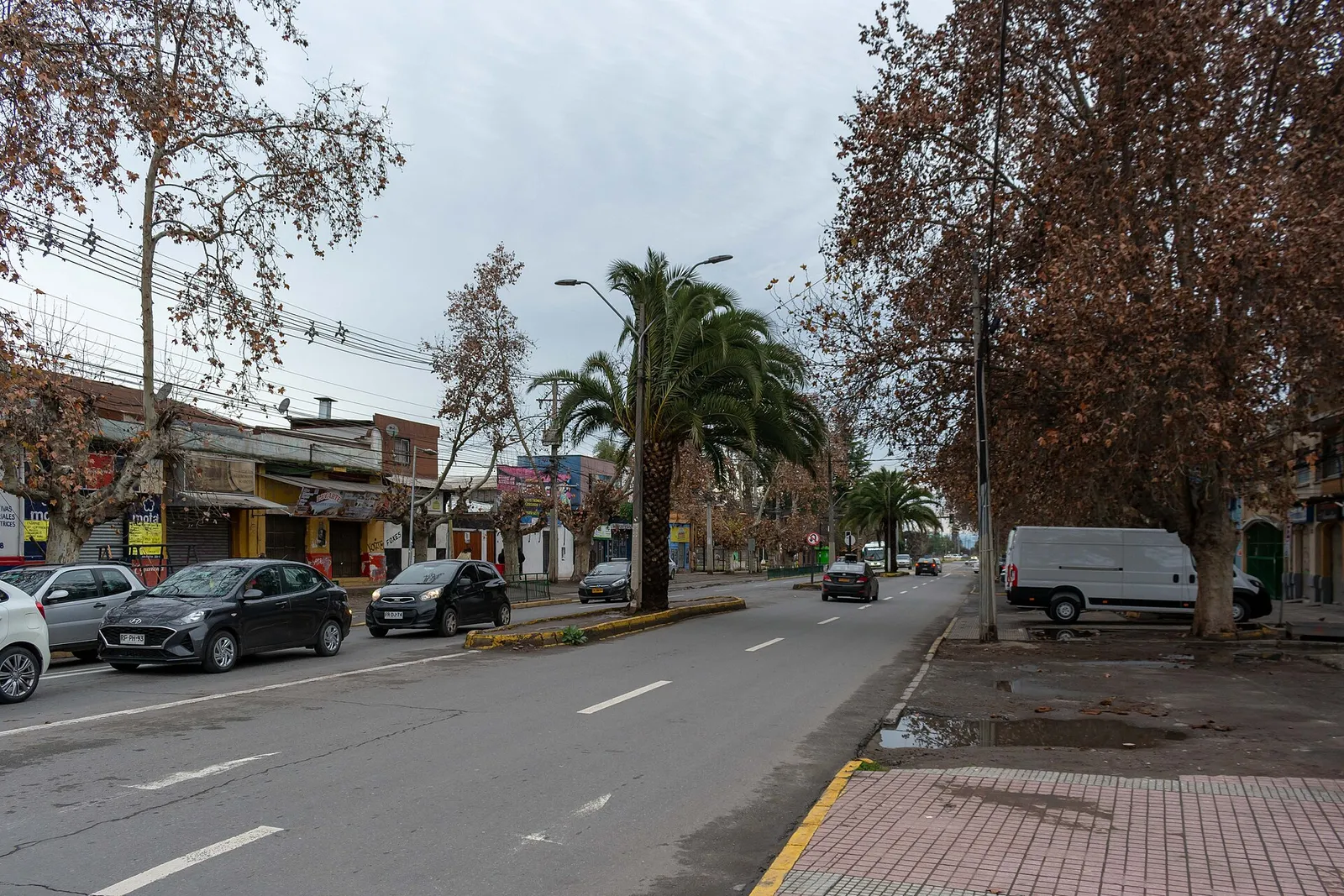 Calle San Martín, en Buin, Región Metropolitana: automóviles estacionados y en circulación por una avenida con bandejón de palmeras.