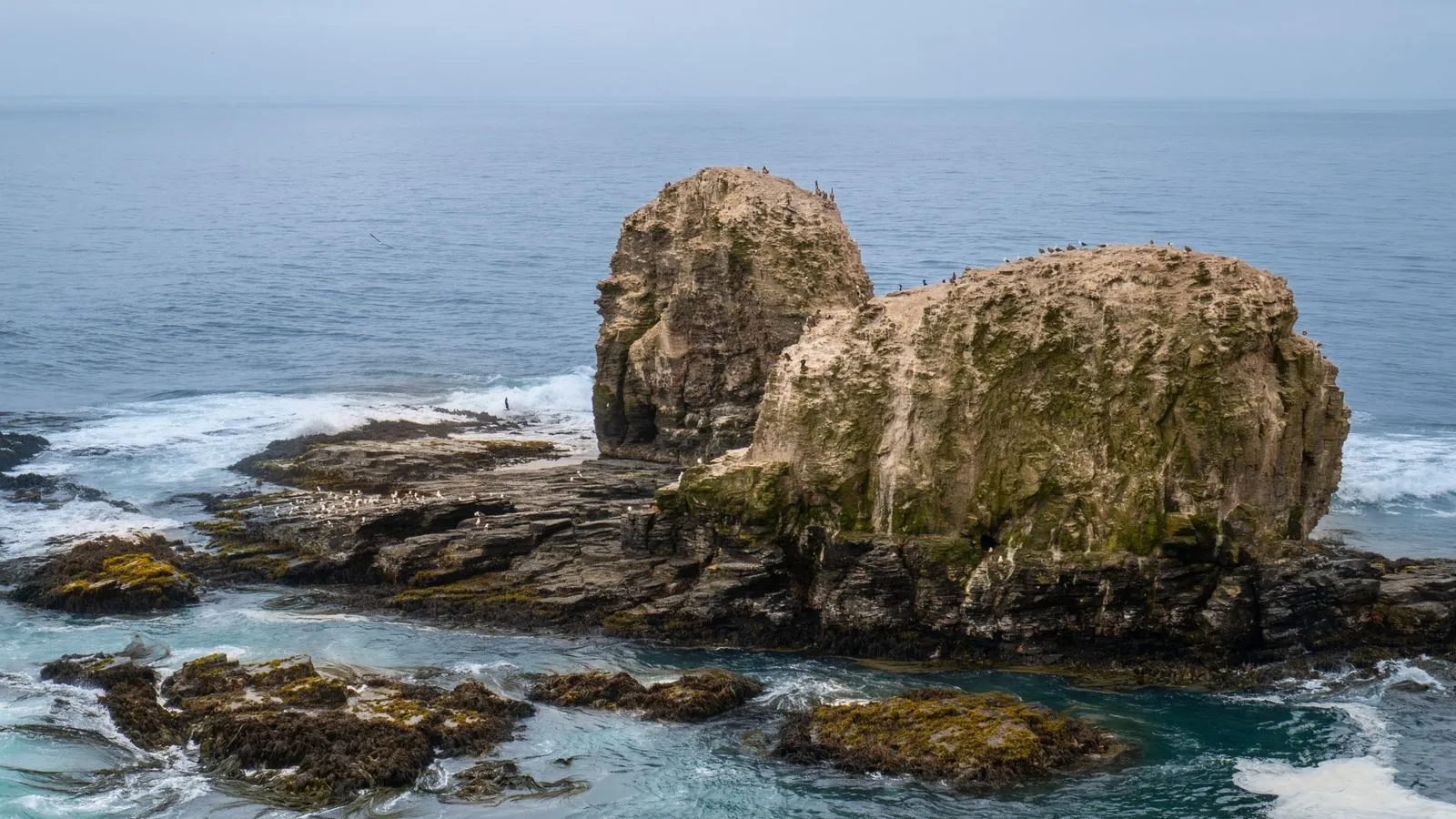 Costa rocosa de Pichilemu, Chile, y olas del océano Pacífico.