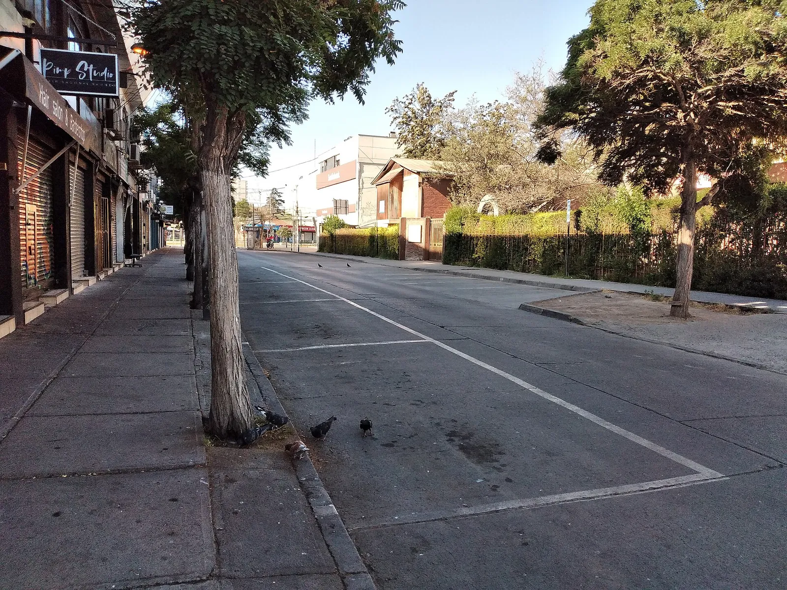 Calle Monumento, en el centro de Maipú: vereda de baldosas con árboles en la orilla y calzada con estacionamientos demarcados.