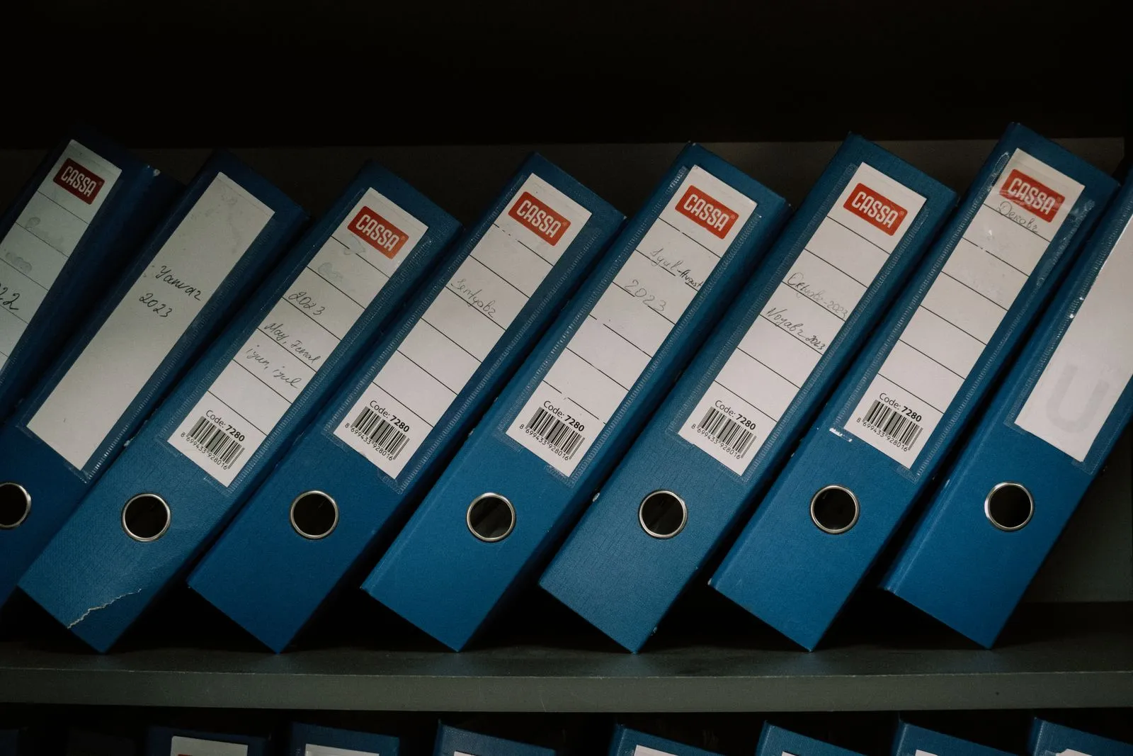 Archivadores azules etiquetados y ordenados en una estantería.