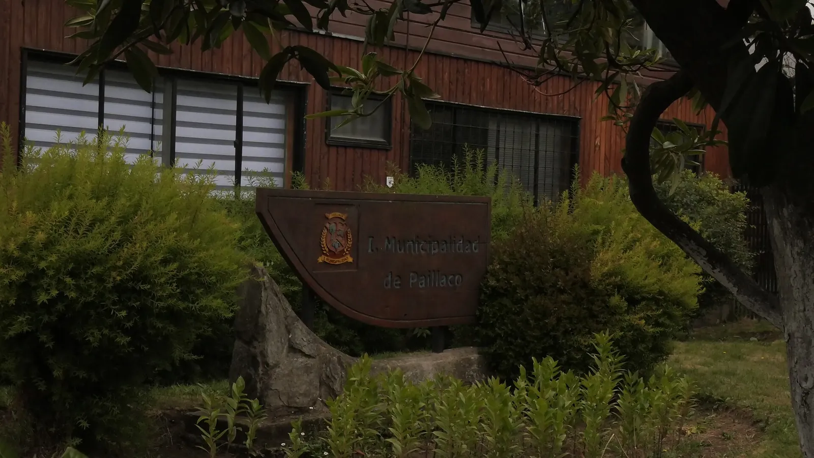 Letrero de madera de la Ilustre Municipalidad de Paillaco, entre arbustos, frente a un edificio de madera.