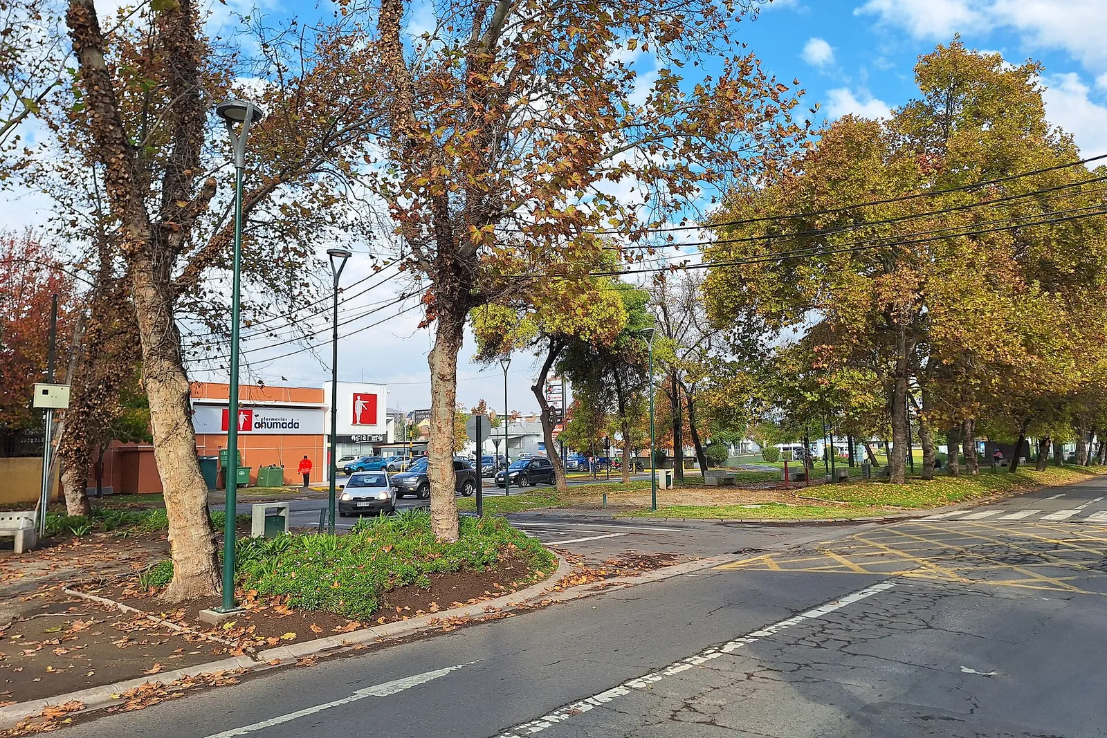 Avenida Pedro Fontova, en Huechuraba, Santiago: bandejón con árboles de otoño, cruce peatonal y autos al fondo.